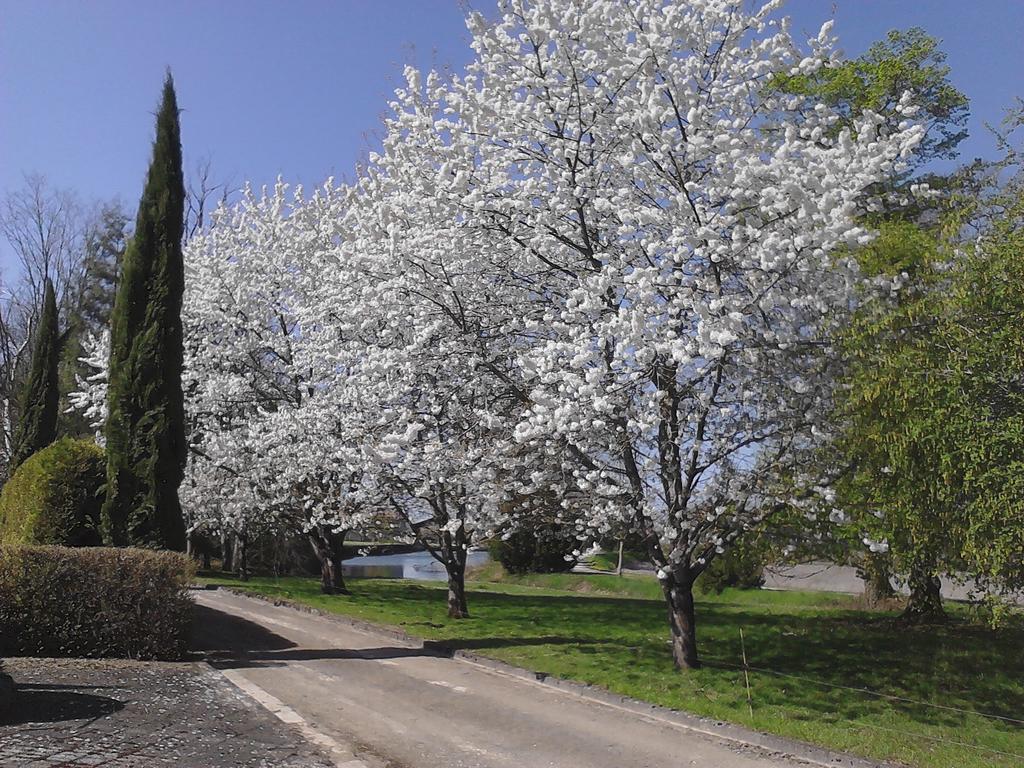 Chateau Du Bourbet Cherval Esterno foto